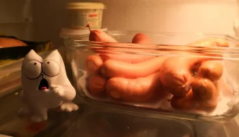 Голодный кот Саймона