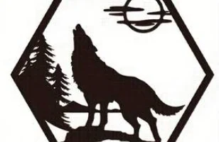 4шт декоративные рамки Лось Олень Волк Медведь Шестиуголь... 1