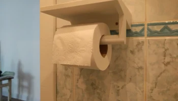 Держатель для туалетной бумаги с полкой...... 1