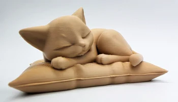 Спящий кот на подушке 1