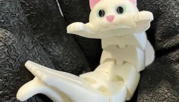 Flexi Holding Cat (печать на месте) 2