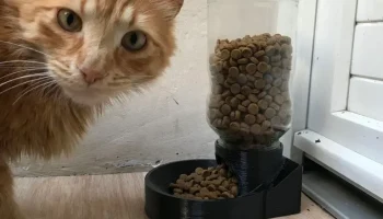 Диспенсер для кошачьего корма