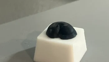 Колпачок для ключей "Сонный кот"