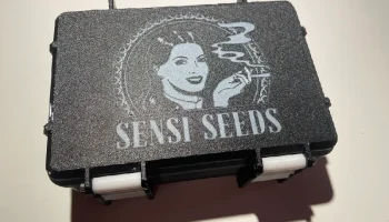 Прочный ящик Sensi Seeds для семян и конопли........