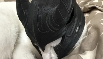 Helmet Cat 3