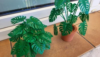 Print-a-plant - растение Монстера для печати 2