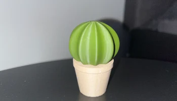 Cactus set 3