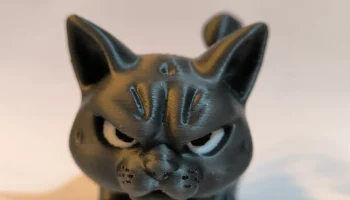 Angry Cat 5