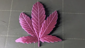 Hemp leaf