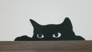 Охотничья кошка 1