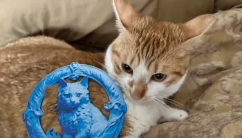 Рельефная Камея Кошка (Живопись Нитями)... 2