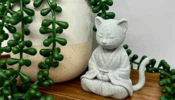 Кот-кот медитирует 1
