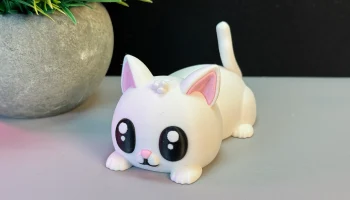 Cute Cat