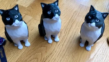 Двухцветный низкополигональный кот...