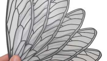 Wing Fan 1