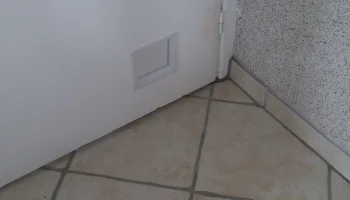 cat door 6