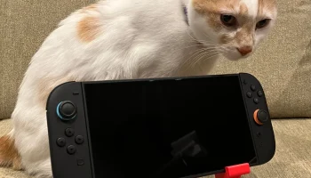 Подставка для Nintendo Switch и Switch 2