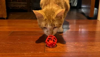 Игрушка для кошек Penta-Ball (печать на месте)... 6