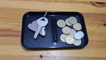 Coins Tray