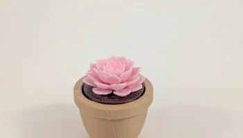 Кликер Succulent Plant Fidget - обновлено! 2
