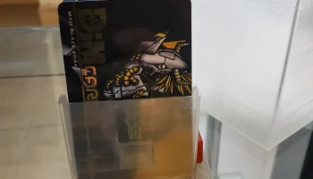 тусклый держатель для карт 1
