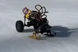 снежные лыжи Scx24