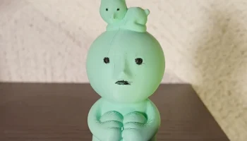 Смиски с кошкой на голове 1