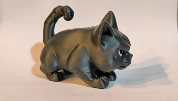 Angry Cat 9