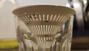 Ловушка для фруктовых мух 1
