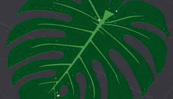 Print-a-plant - растение Монстера для печати 9