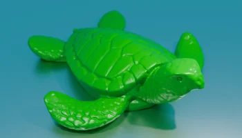 Sea Turtle