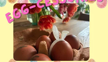 Аксессуары для яиц
