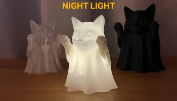 Ночной свет кота-призрака