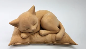 Спящий кот на подушке 2