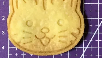 формочка для кошачьего печенья 1