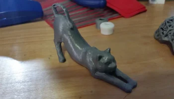 Растягивающаяся кошка