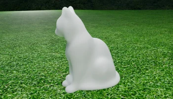 Cat 1