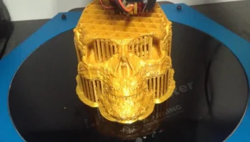 Необычный череп 6