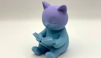Читающий кошачий форзац 2