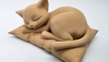 Спящий кот на подушке 4