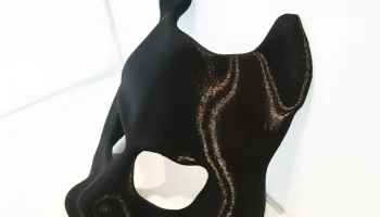 Cat mask 2