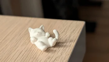 Мини катцен Коллекция 1