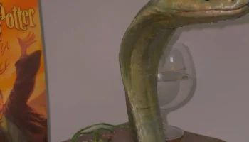 Диспенсер для вина Nagini - носик в виде головы змеи, вдо...