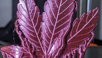 Hemp leaf 1
