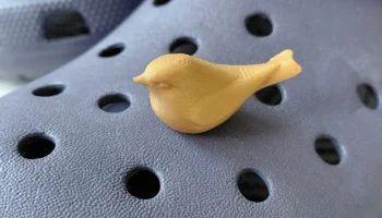 Кроксы Очаровательная Птица 1