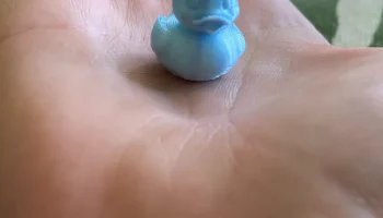 mini Duck