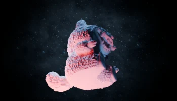 Усиленная конструкция Laderpy Demon Tiger....... 3