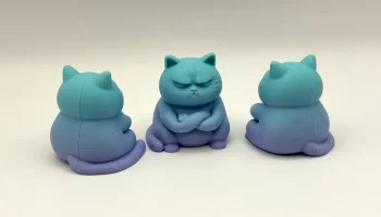 Сварливый дзен-кот 1