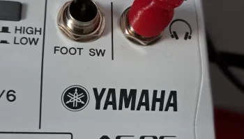 Кубок RCA Чинч Кейп
