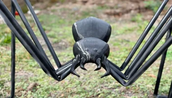 Гигантский паук своими руками украшение двора на Хэллоуин.. 1